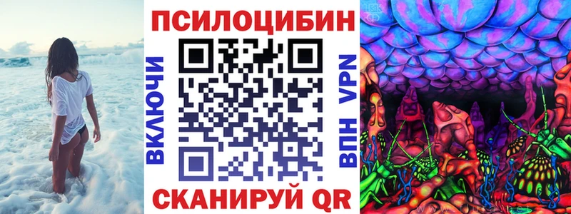 Галлюциногенные грибы MAGIC MUSHROOMS  сколько стоит  Кудрово 