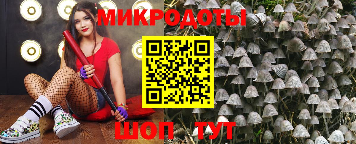 Псилоцибиновые грибы Psilocybine cubensis  Вход с VPN  Галлюциногенные грибы Magic Shrooms  Кудрово 