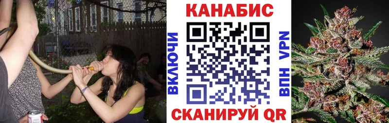 купить   Кудрово  Каннабис сатива 
