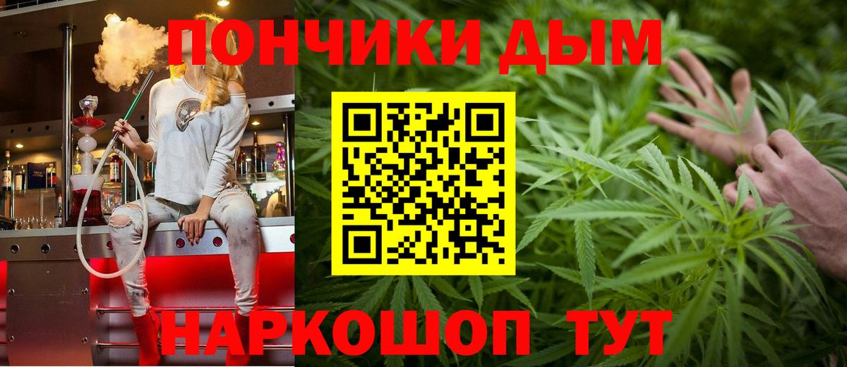 Шишки марихуана Amnesia Кудрово